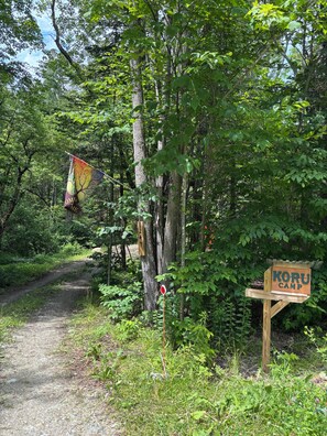Property grounds - Rustic creek side cabin in the woods (Granville)