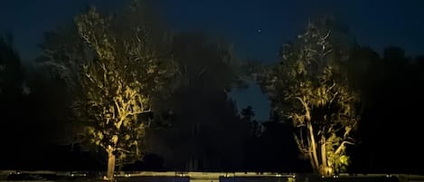 An outdoor swimming pool area at night with trees and a clear sky.
