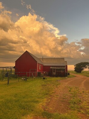 A red barn with a fenced area, a gravel path, and a large tree in the background.