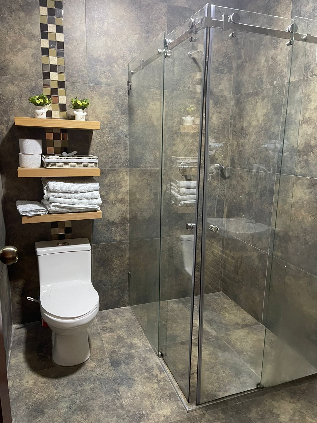 A bathroom with a glass-enclosed shower, a toilet, and shelves with toiletries.