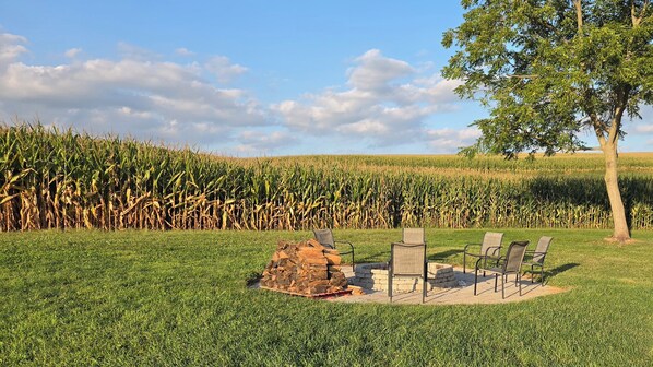 A grassy outdoor area with a fire pit and chairs, surrounded by a cornfield and a tree.