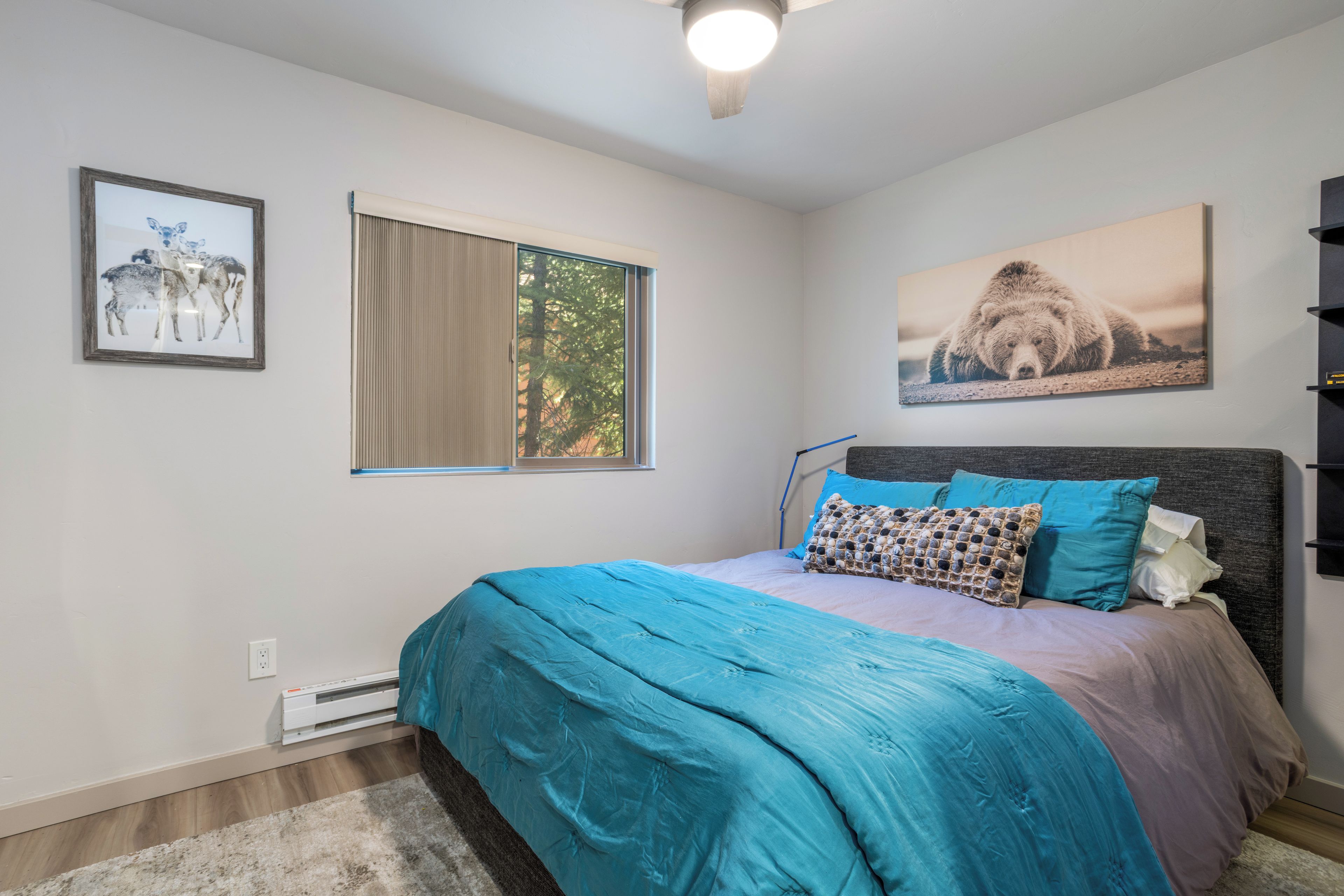 A bedroom with a bed, a window, and two wall-mounted pictures.