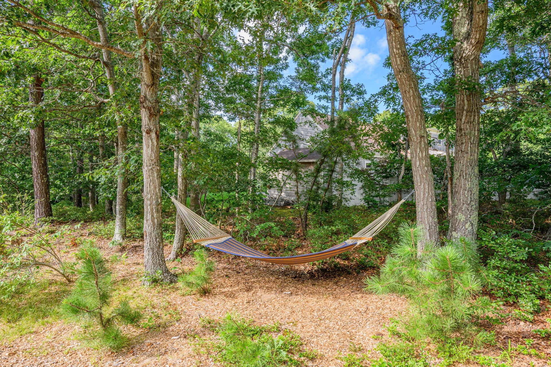 Un hamac dans une zone boisée, avec des arbres et une maison en arrière-plan.