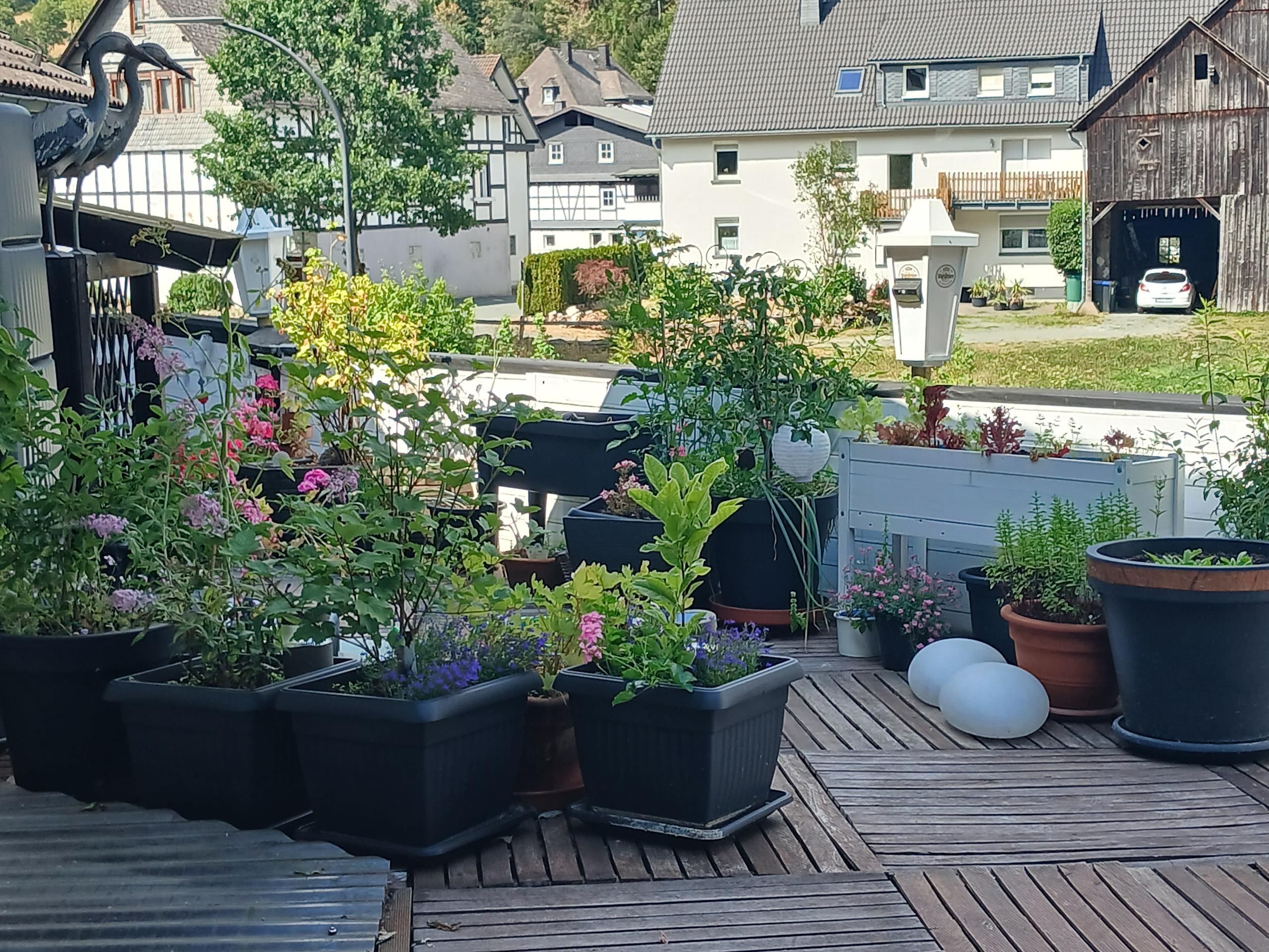 Ferienwohnung-Außenbereich
