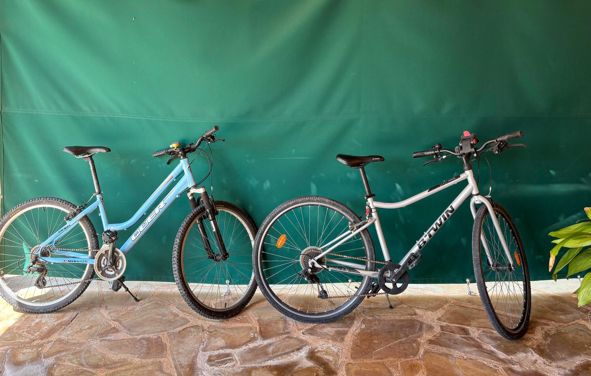 Two bicycles parked against a green wall.