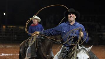 A rodeo event with a cowboy on a horse, holding a lasso.