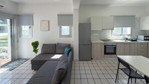 Une cuisine moderne avec un réfrigérateur gris, un évier et une cuisinière.