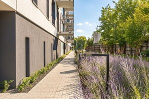 Un étroit sentier piétonnier bordé de bâtiments et d’une rangée de plants de lavande.