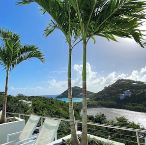 A balcony with a view of a river and hills, palm trees, and a clear sky. - NEW! Dreamy & Spacious 5-bedroom house with generator in Cruz Bay with Pool (Cruz Bay)