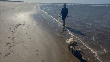 A beach with a person and a dog walking along the shore.