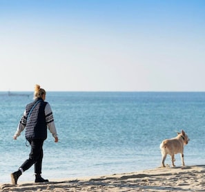 A person walking a dog on a sandy beach with the ocean in the background.
