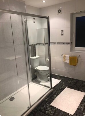 A modern bathroom with a glass-enclosed shower, a toilet, and a sink. - Apartment Sleeps 3 with WiFi (Alexandria)