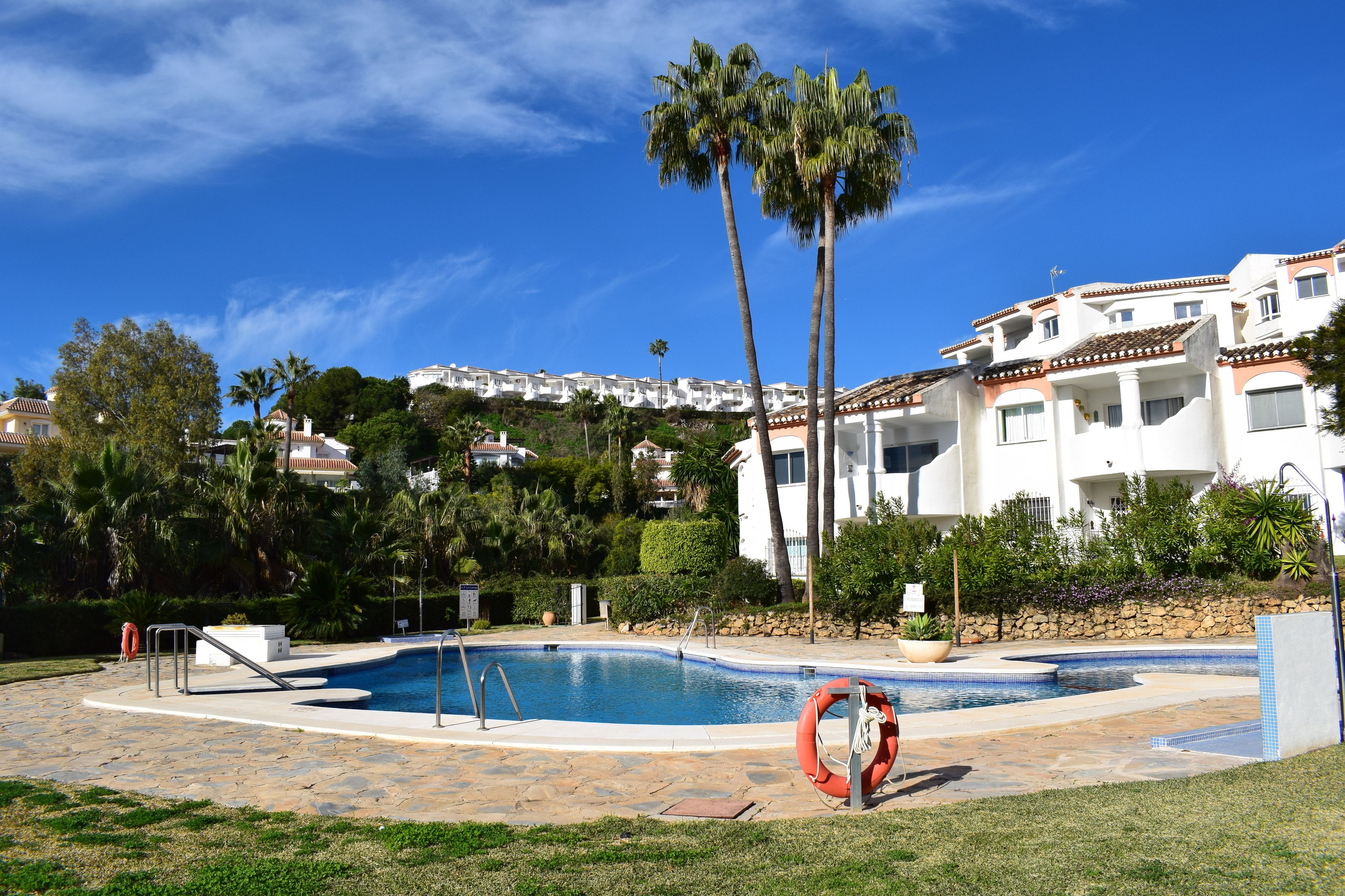 A swimming pool with a lifebuoy, palm trees, and a view of a hillside with buildings.