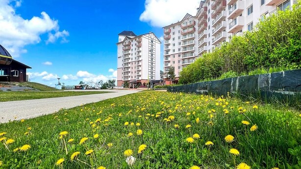 A residential building with multiple balconies, a paved road in the foreground, and a field of yellow flowers. - O2 Resort (Taebaek)