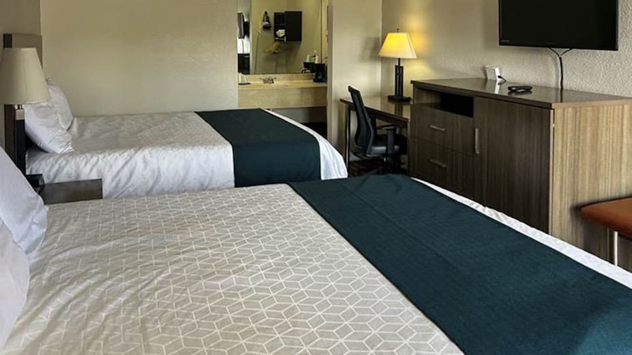 Deux lits avec une literie à motifs, un bureau avec une chaise, une télévision et un miroir dans une chambre d’hôtel.