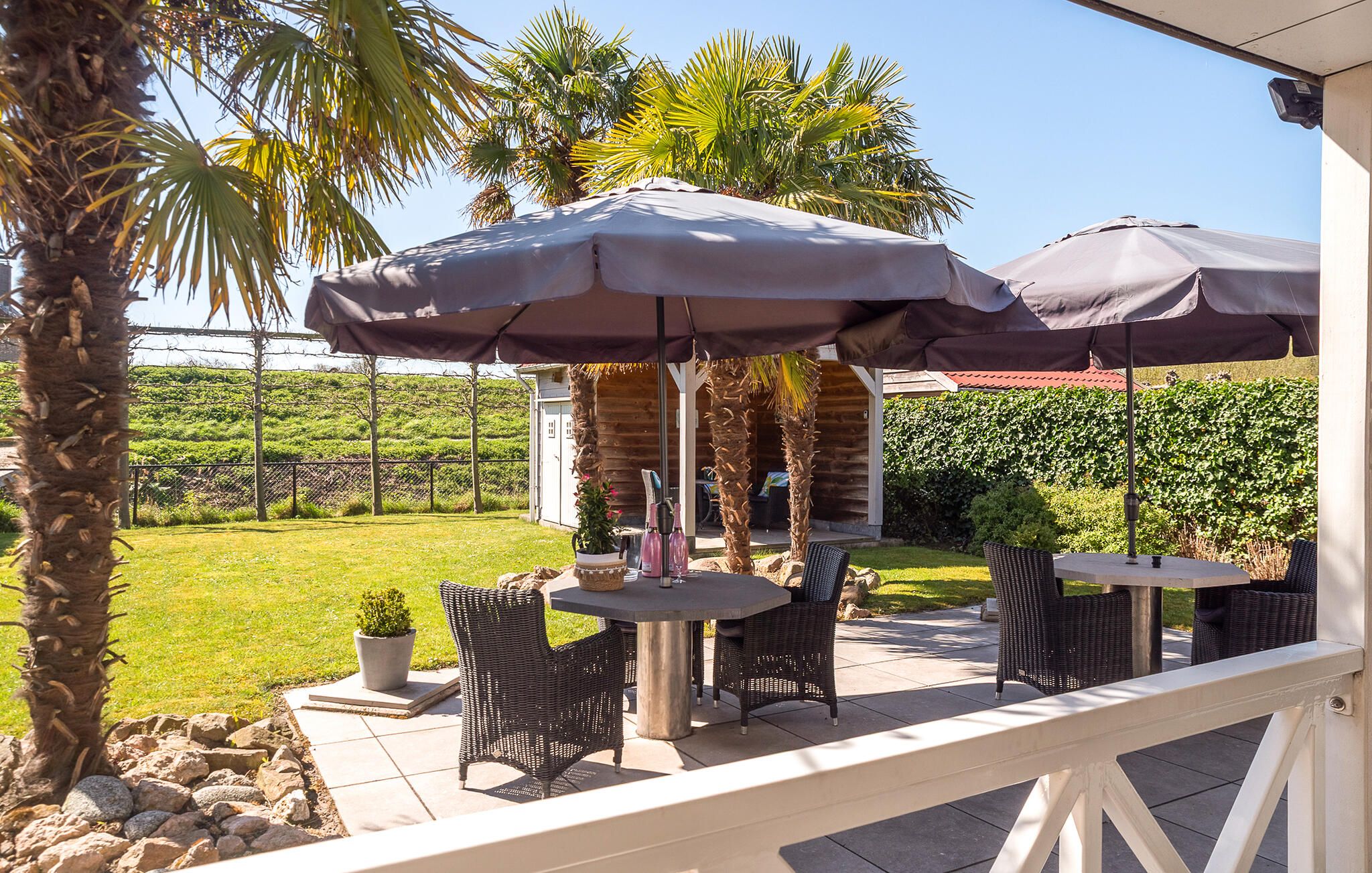 An outdoor patio with a round table and four chairs, two large umbrellas, and a potted plant.