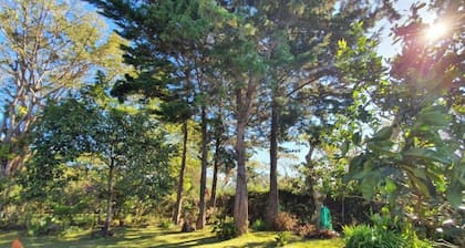 Cozy Cabin for 6 People