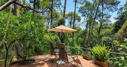 Wooded Terrace Suite w/ Fireplace & Jacuzzi Access