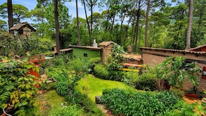 Un jardí exuberant amb un petit edifici de maó, envoltat d'una vegetació densa i arbres.