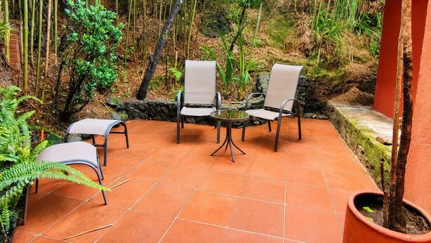 A patio with two chairs and a table, surrounded by bamboo and ferns.
