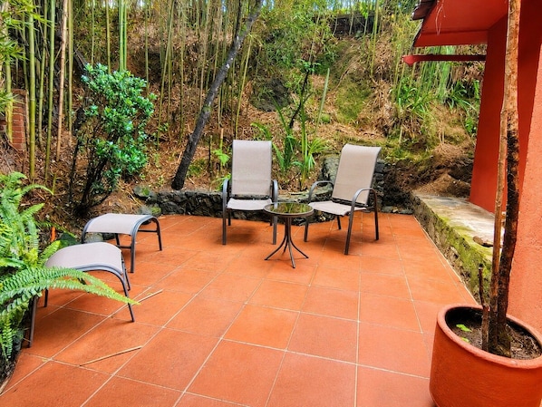 Eine Terrasse mit zwei Stühlen und einem Tisch, umgeben von Bambus und Farne.
