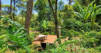 Forest Retreat w/ Outdoor Jacuzzi & Fireplace