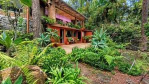 A house with a brick exterior, surrounded by lush greenery and a variety of plants. - Cardinal | King by the river in Avándaro (Valle de Bravo)