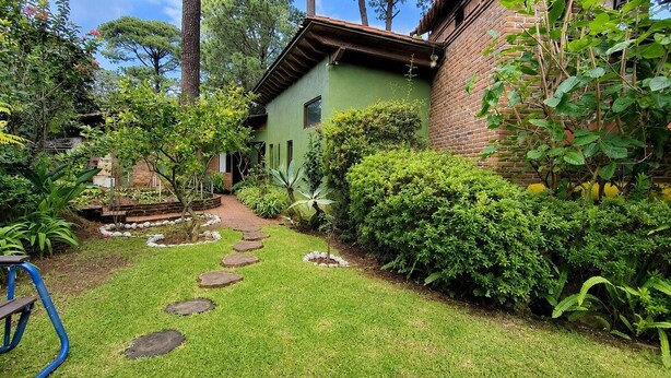 A garden with a stone pathway leading to a green building, surrounded by various plants and trees. - Paloma Suite | Triple, breakfast and parking (Valle de Bravo)