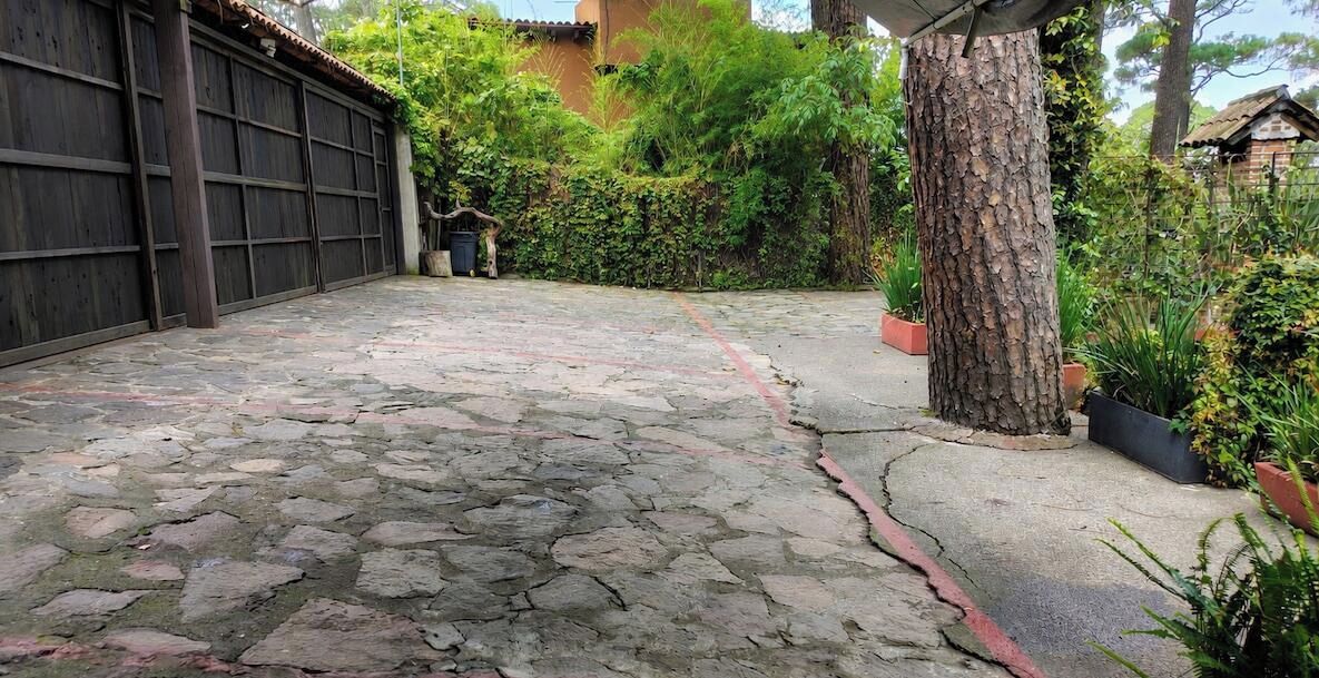 Pátio com calçamento de pedra, cerca de madeira, uma árvore e vasos com plantas.