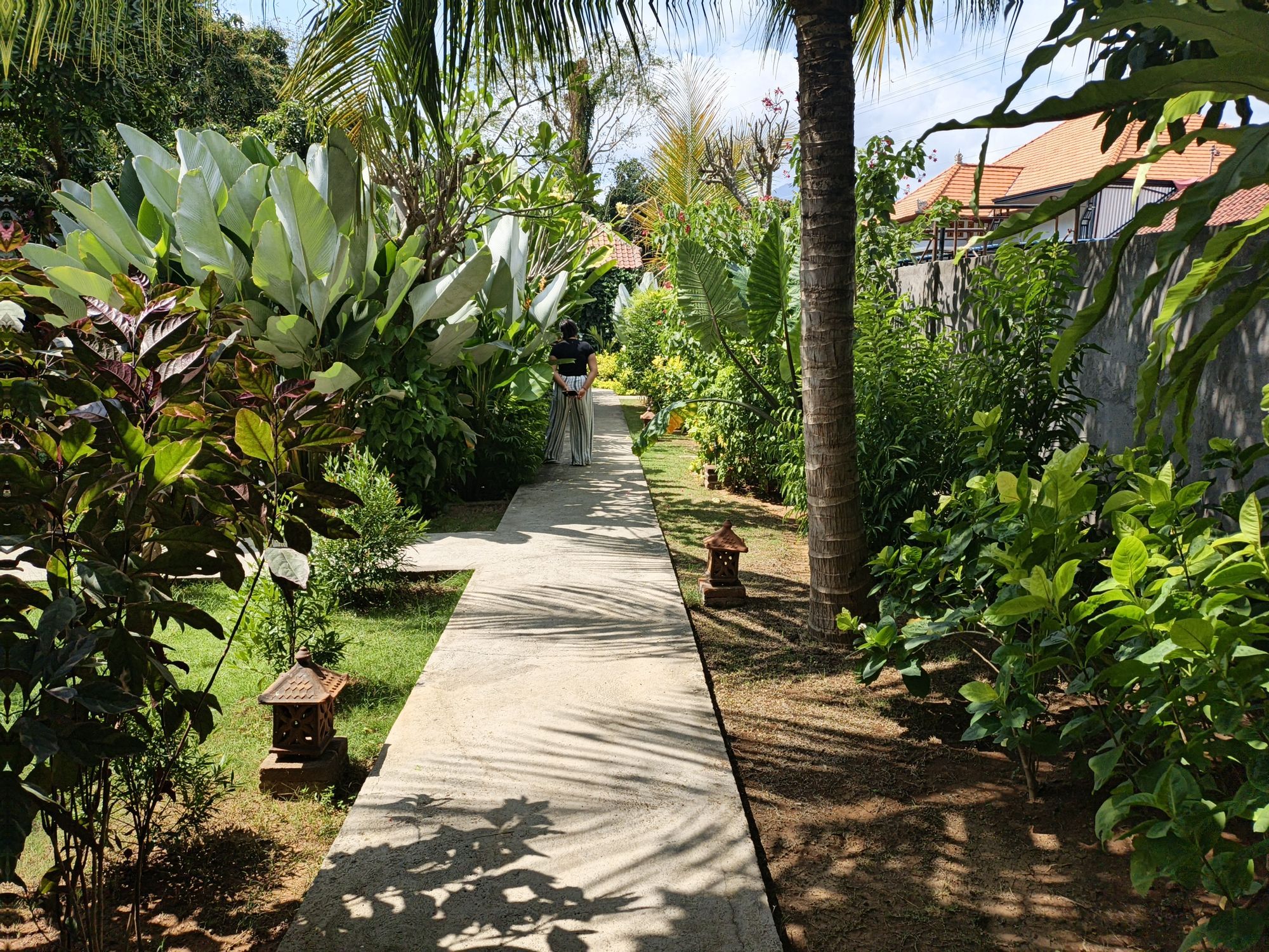 A pathway flanked by lush greenery and a traditional house in the background.