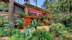 Uma casa com fachada de tijolos, pérgola de madeira e um jardim exuberante com diversas plantas.
