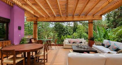 Forest Retreat Suite w/ Terrace, Jacuzzi &