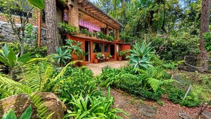A house with a brick exterior, surrounded by lush greenery and a variety of plants. - Sparrow | King and Breakfast in the Woods (Valle de Bravo)