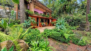 A house with a brick exterior, surrounded by lush greenery and a variety of plants.