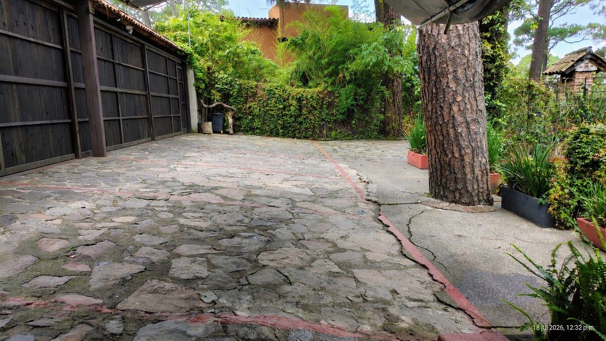 A courtyard with a stone floor, a wooden gate, and a tree.