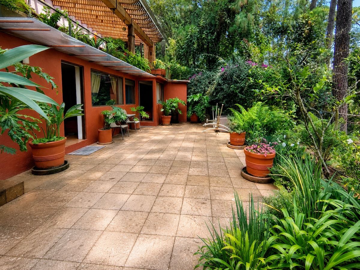 Uma área externa coberta com piso de azulejos, rodeada por plantas e árvores em vasos.