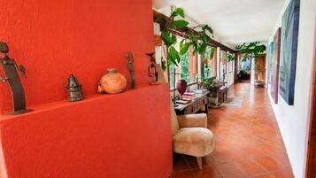 A corridor with a red wall, a wooden bench, and a hanging plant.