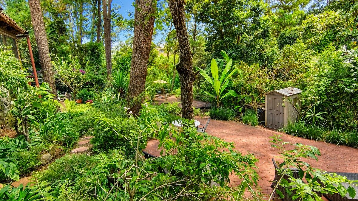 Um jardim com caminho de tijolos, um galpão e diversas plantas.