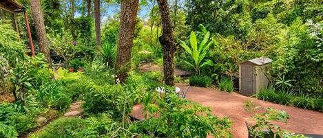 Ein Garten mit einem Pflasterweg, einem Schuppen und verschiedenen Pflanzen.