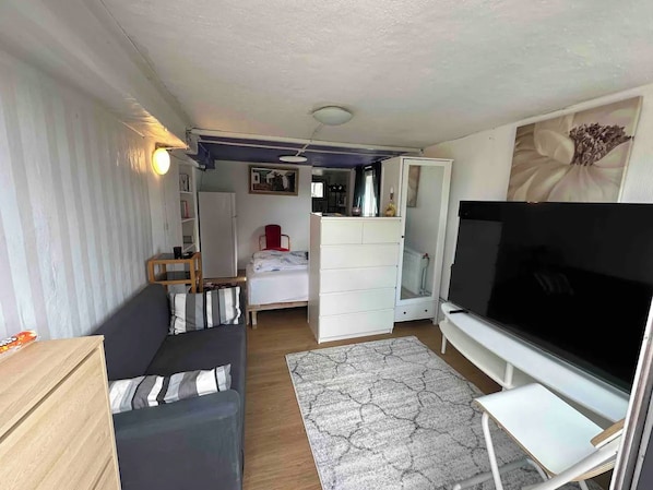 A compact living space with a sofa, a television, a bed, and a small kitchenette area.
