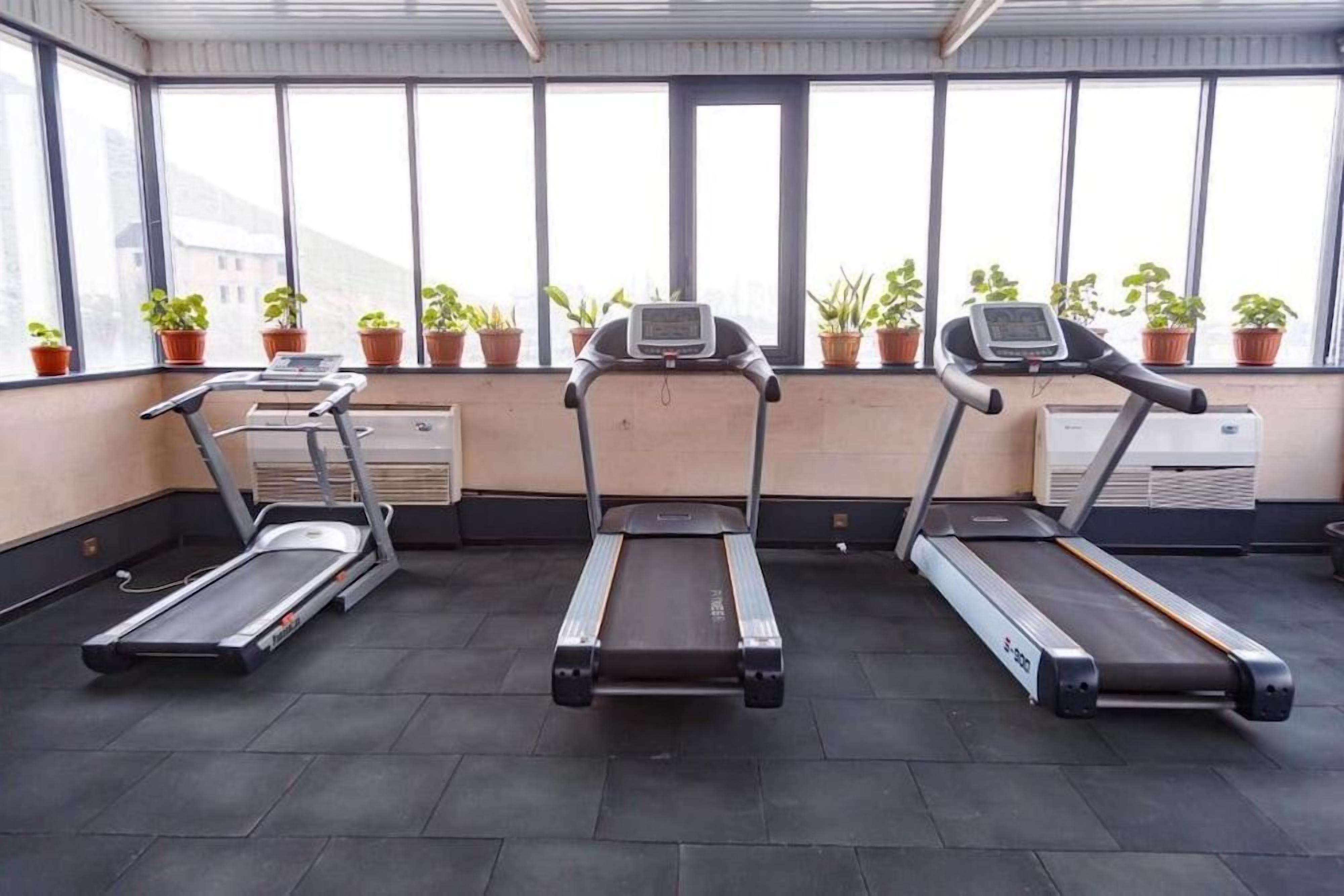 A gym with three treadmills aligned in a row, large windows with potted plants, and a visible air conditioning unit.