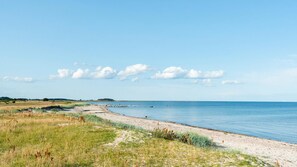 A coastal landscape with a sandy beach, grassy areas, and a clear sky.