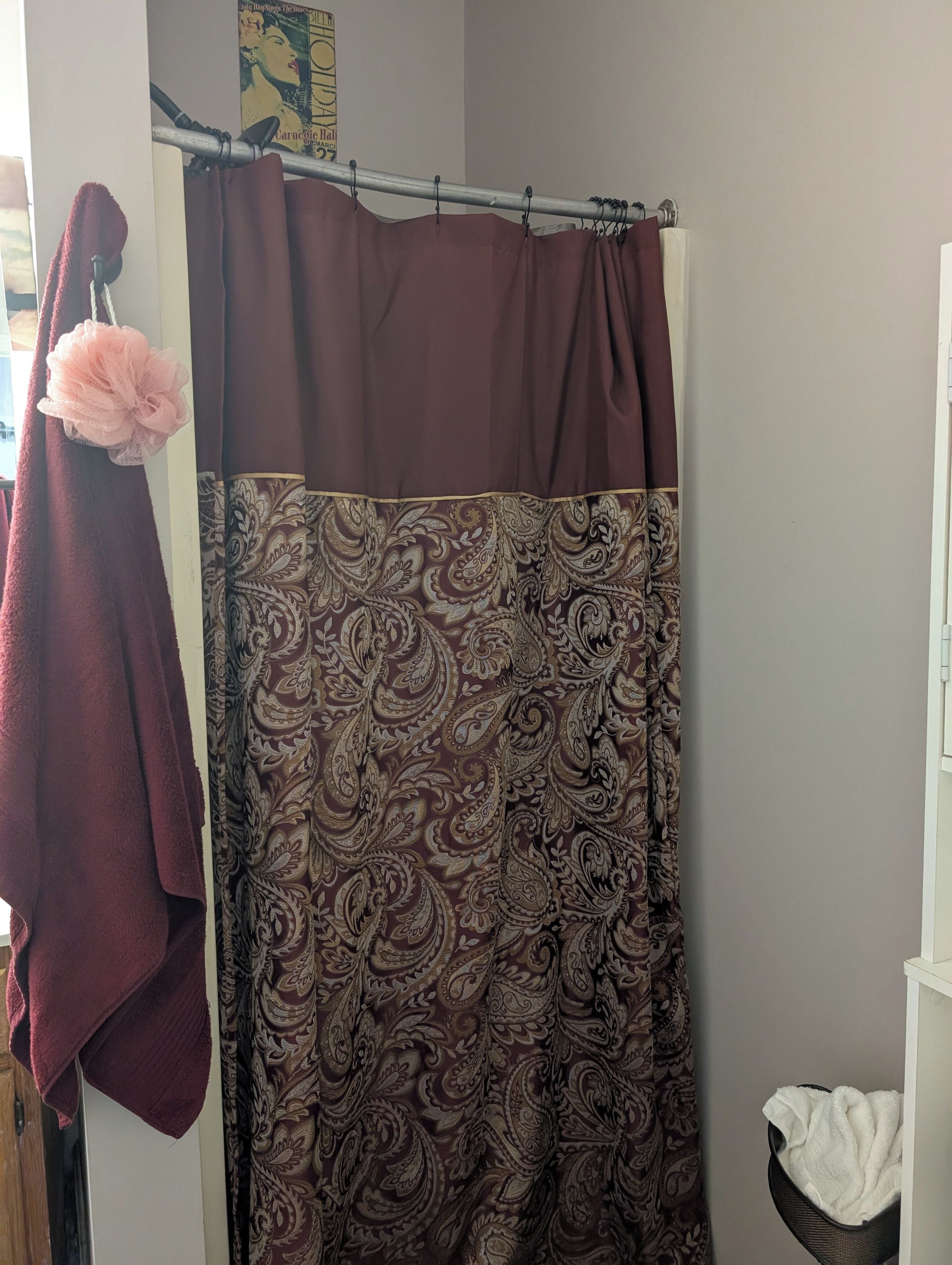 A bathroom with a shower curtain featuring a paisley pattern, a towel rack with a pink towel, and a white shelf with a white towel.