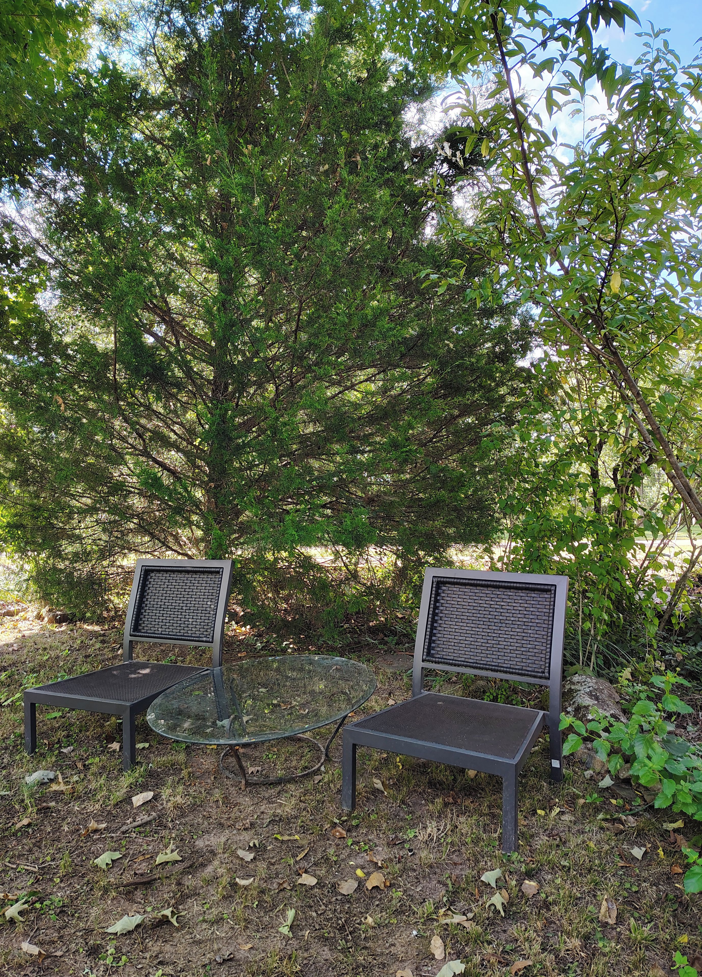 Two metal chairs with mesh backs and a glass table in a natural setting with trees and foliage.