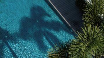 An aerial view of a swimming pool surrounded by palm trees and a lounge area with a person relaxing.