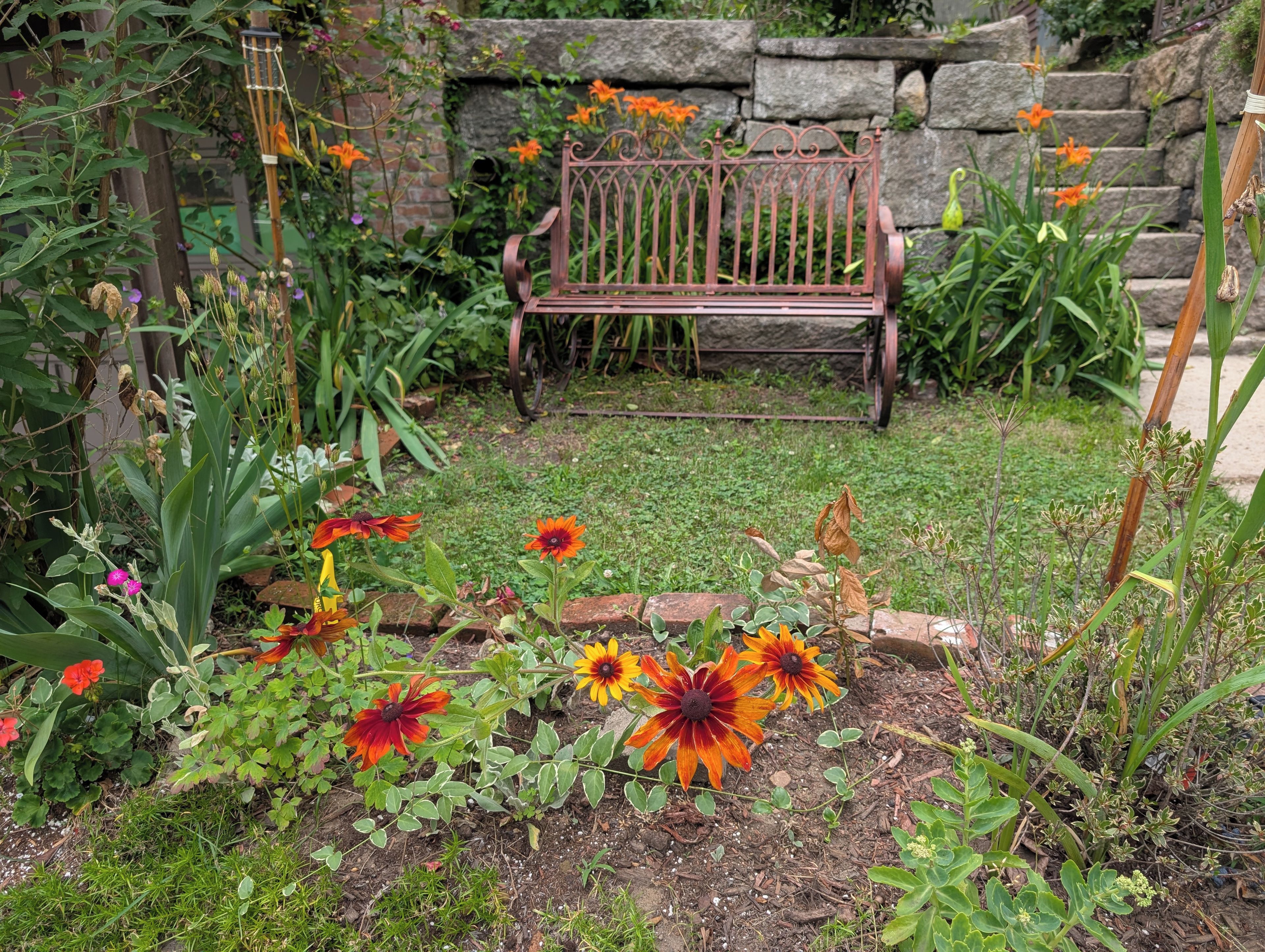 A garden with a bench, various plants, and a stone wall.