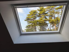 Ein Dachfenster mit Blick auf hohe Kiefern.