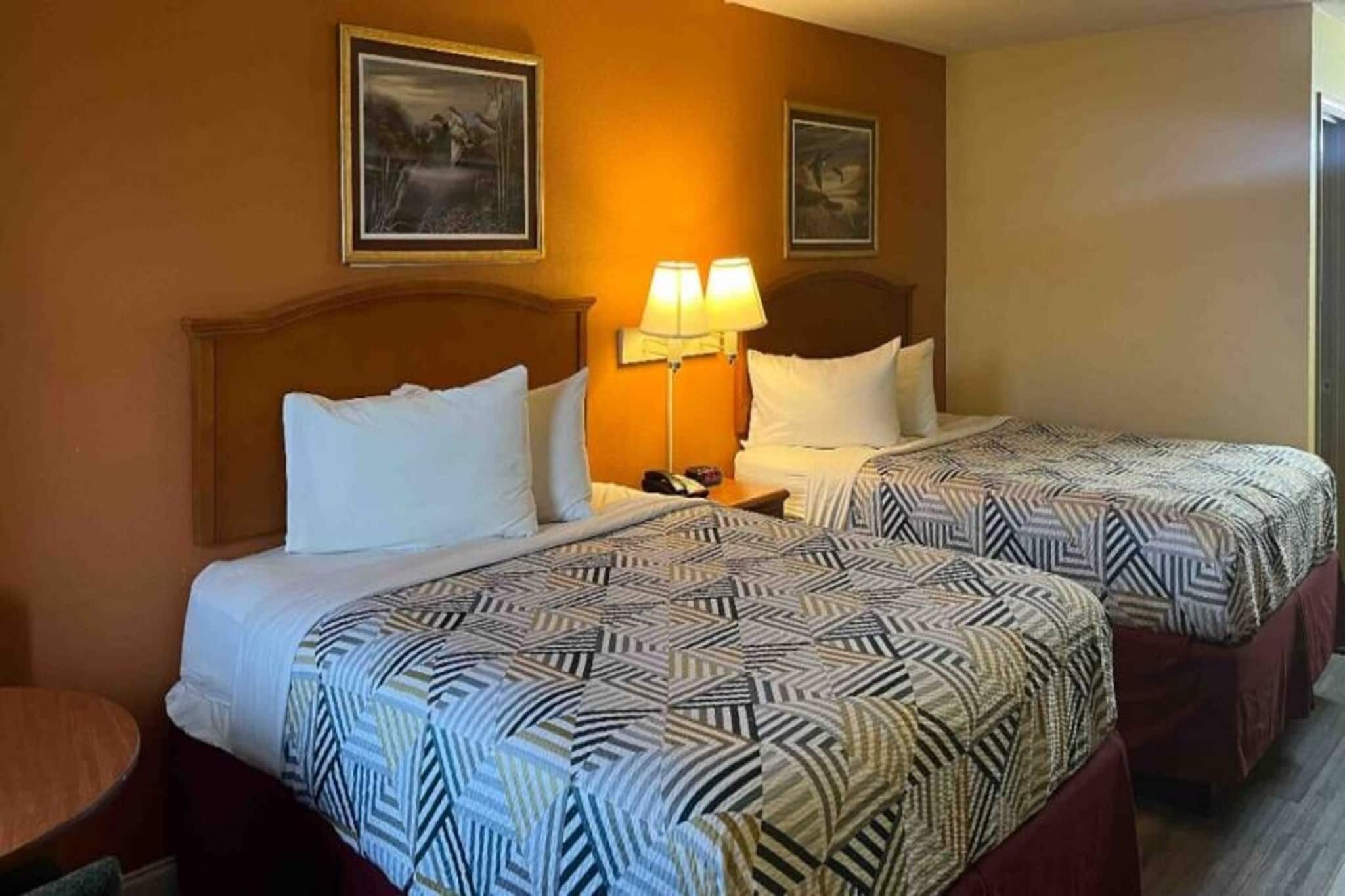 Une chambre d’hôtel avec deux lits, chacun agrémenté de draps à motifs, une table de chevet avec une lampe et des œuvres d’art encadrées accrochées aux murs.