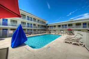 Pool - Cozy ADA Queen Bed|Pool|Free Wifi (Bradenton)