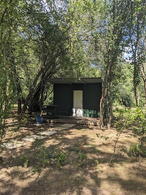 A small, dark-colored building with a door, surrounded by trees and a dirt ground.